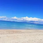 Fresh * 波利克罗诺