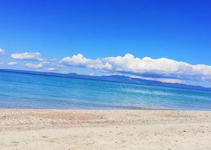 Fresh * 波利克罗诺