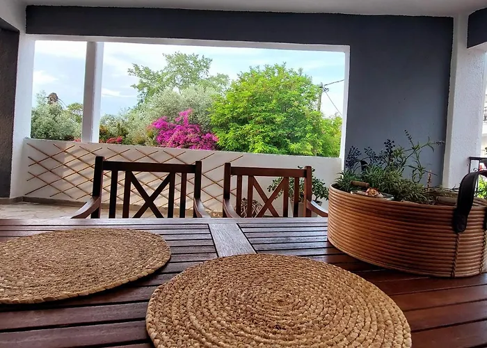 Fresh 波利克罗诺