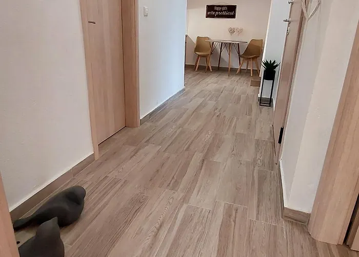 Fresh * 波利克罗诺